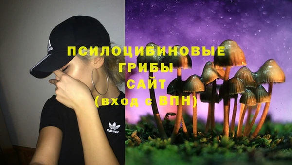 крисы Абдулино