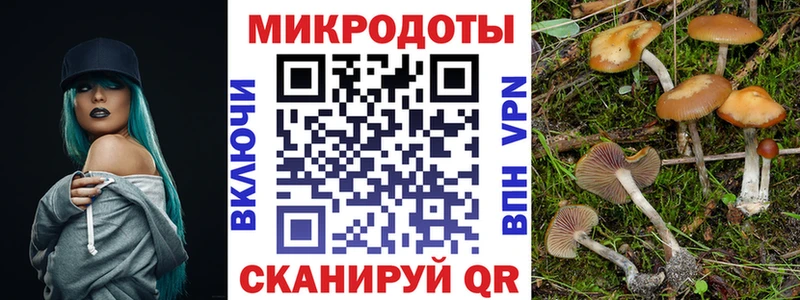 Галлюциногенные грибы Magic Shrooms  блэк спрут ССЫЛКА  Кимовск 